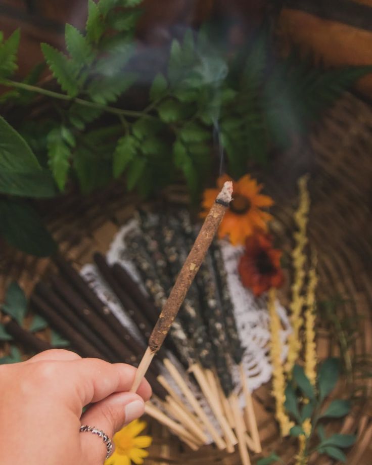 Inciensos organicos y purificadores